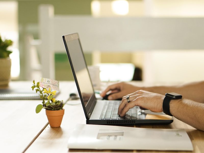 online, nature, connection-4208112.jpg